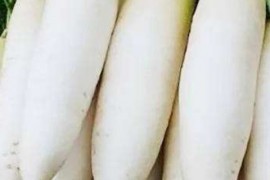 韩国泡菜萝卜的腌制方法