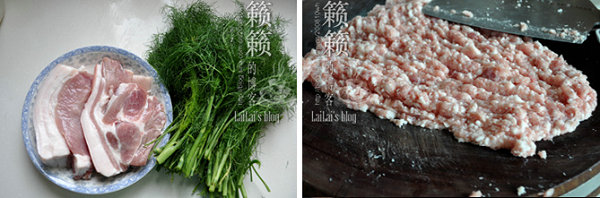 茴香鲜肉饺的做法[籁籁]
